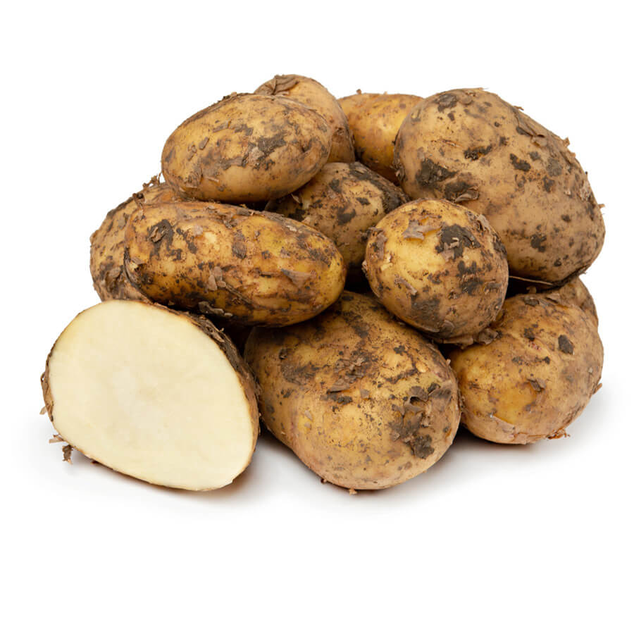 Урожай картофеля массой. Картофель 1кг Азербайджан. Картофель молодой, 1 кг. Картофель белый. Картофель молодой белый.