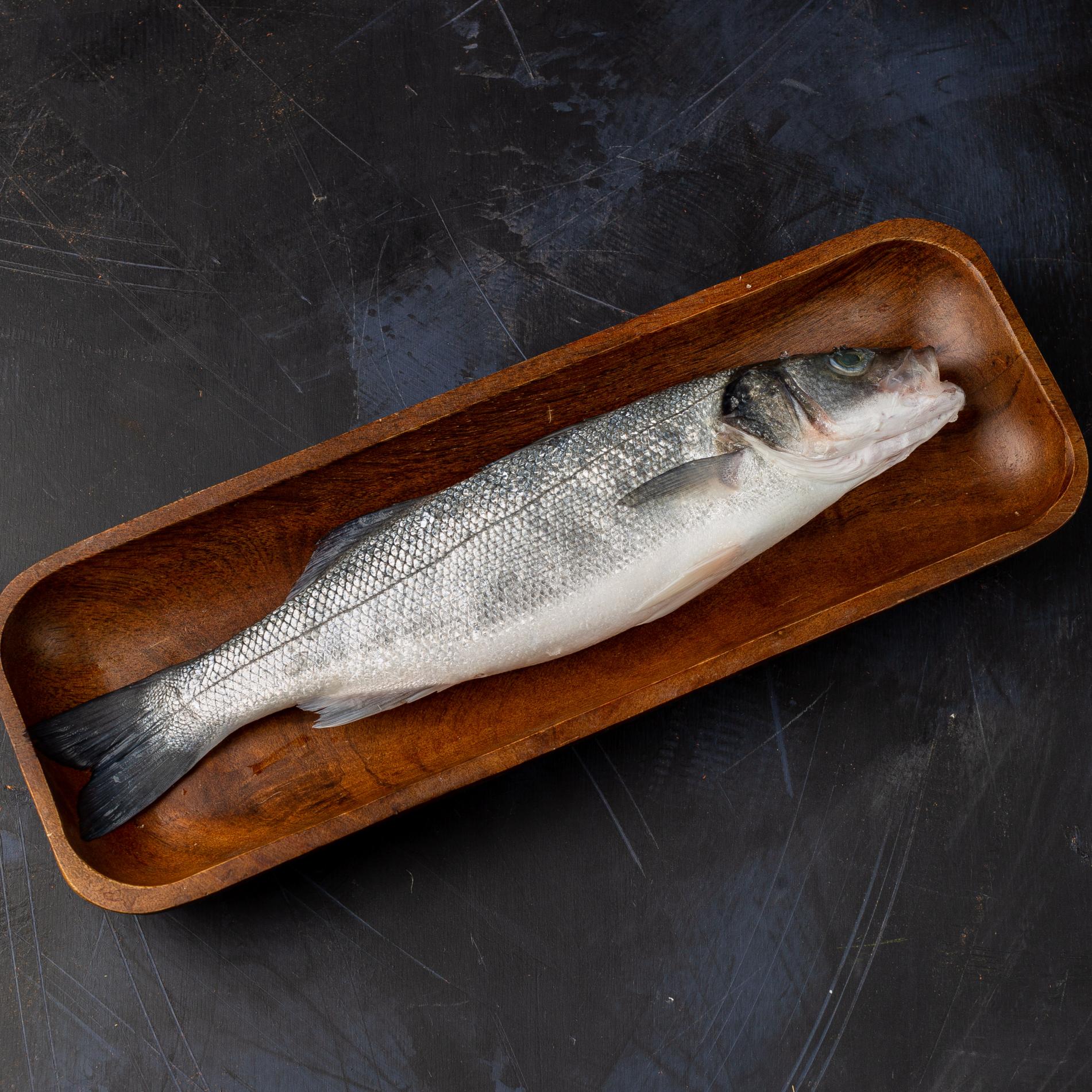 Рыба сибас: фото, описание, вкус | Информация и рецепты